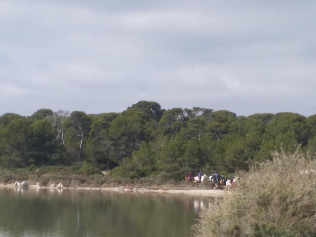 Cabanes Des Aresquiers Frontignan Exteriér fotografie
