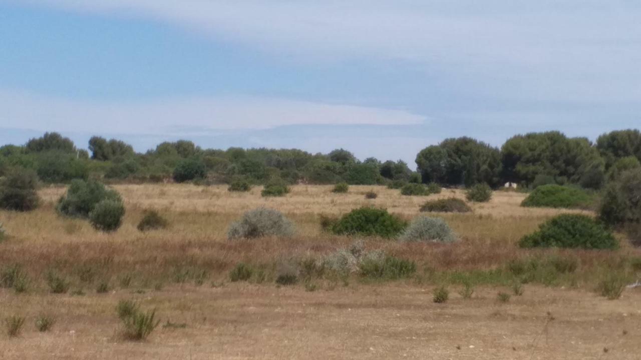 Cabanes Des Aresquiers Frontignan Exteriér fotografie
